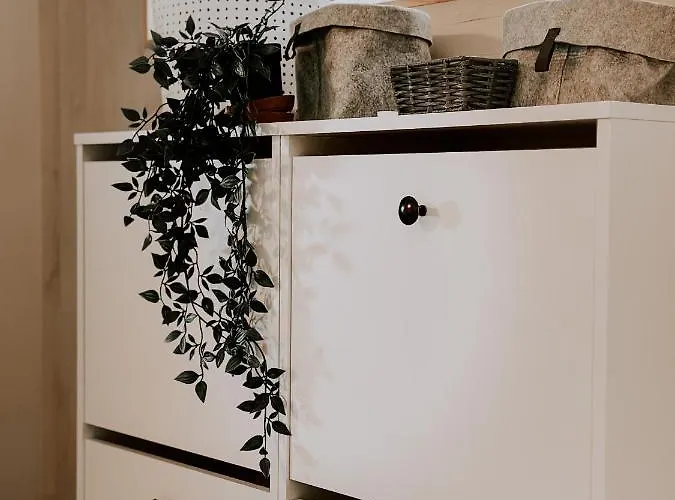 Del Linz * Ljubljana